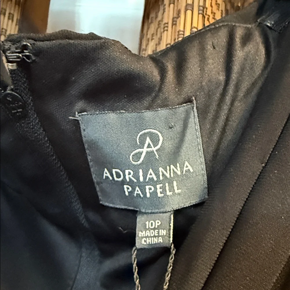 Elegant Black Sleeveless Dress by Adrianna Papell - Picture 9 of 9